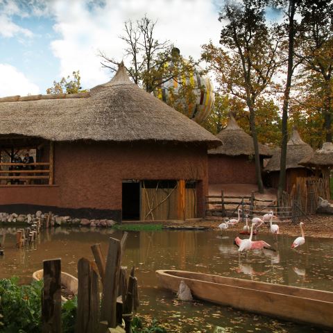 Africká vesnice, foto: archiv Zoo Brno