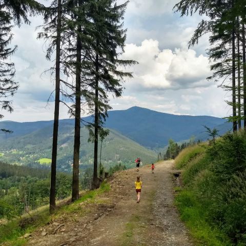 Na konci lesa vás čekají nádherná panoramata, foto: Táňa Kozelková