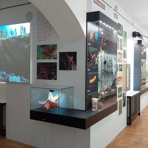 Foto: Vlastivědné muzeum v Olomouci
